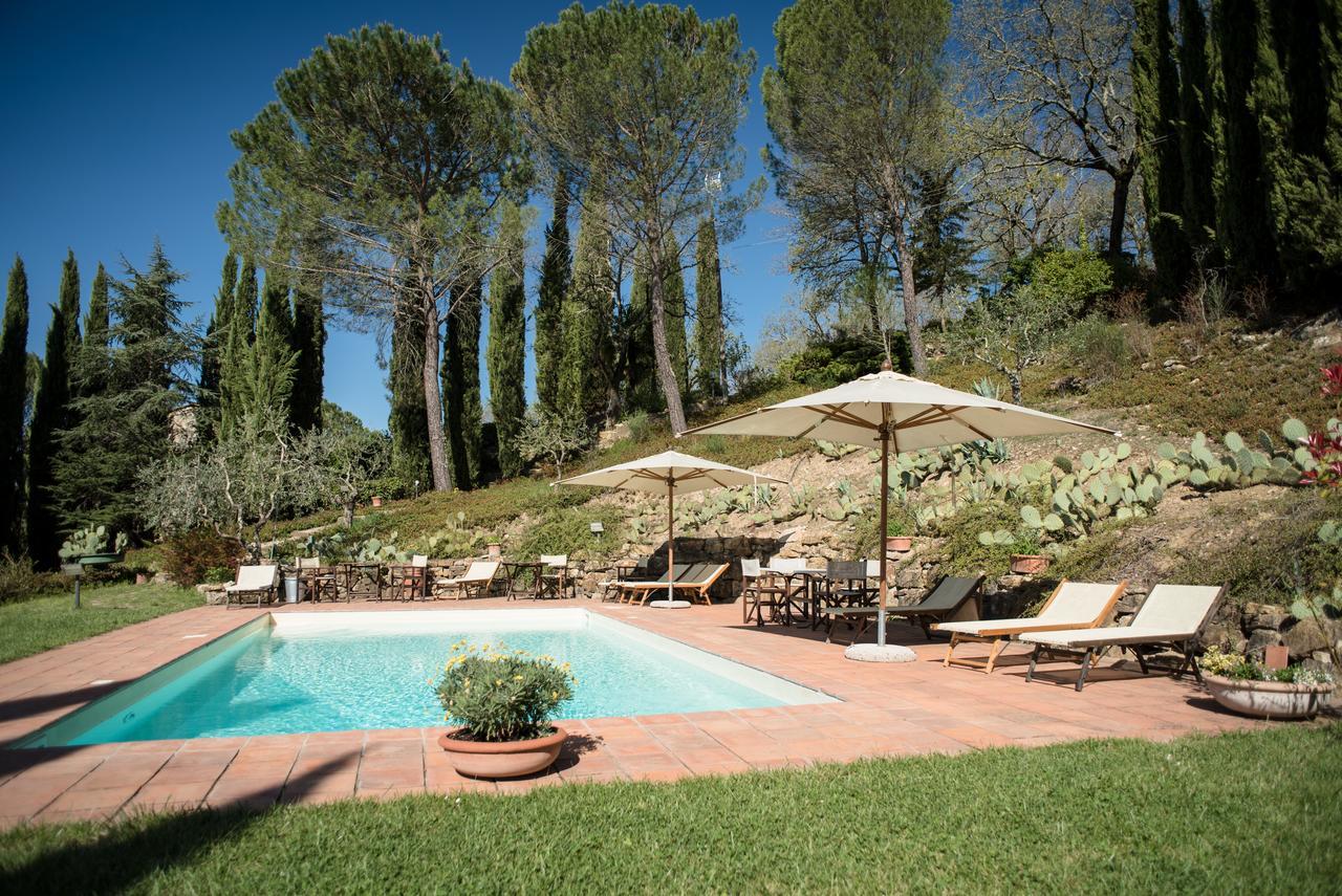 B&B Fagiolari Greve in Chianti Zewnętrze zdjęcie